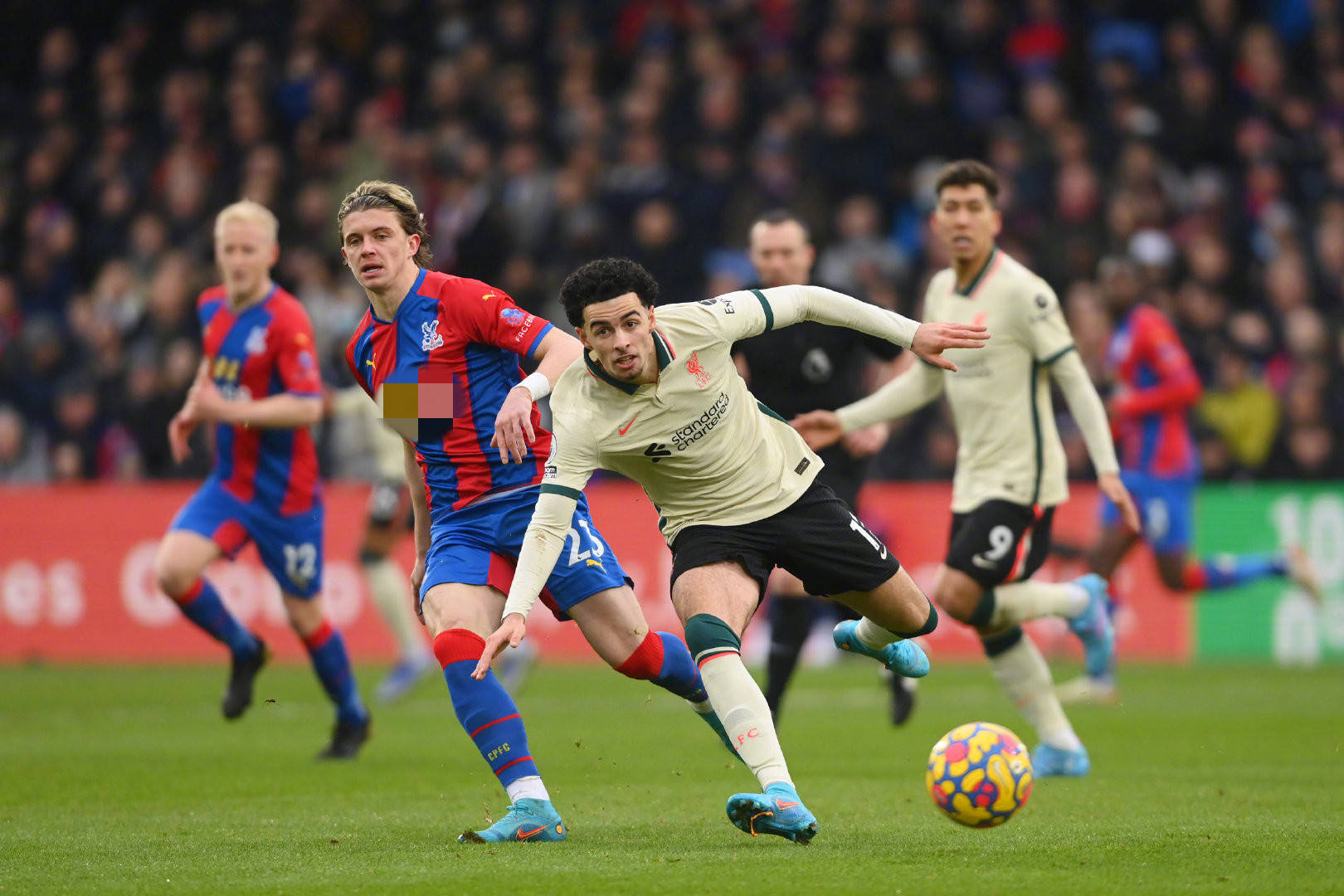 虽具备潜力 虽具备潜力